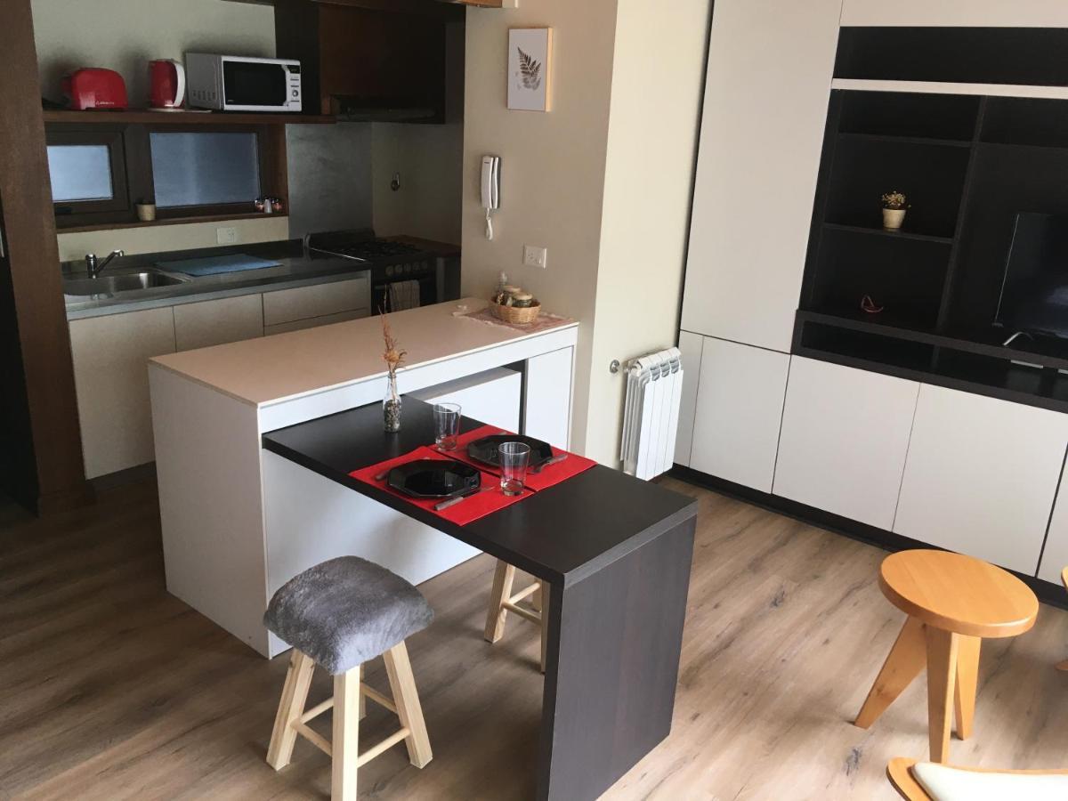 Rahue, Monoambiente Centrico Con Patio Propio Apartment San Martin de los Andes Ngoại thất bức ảnh