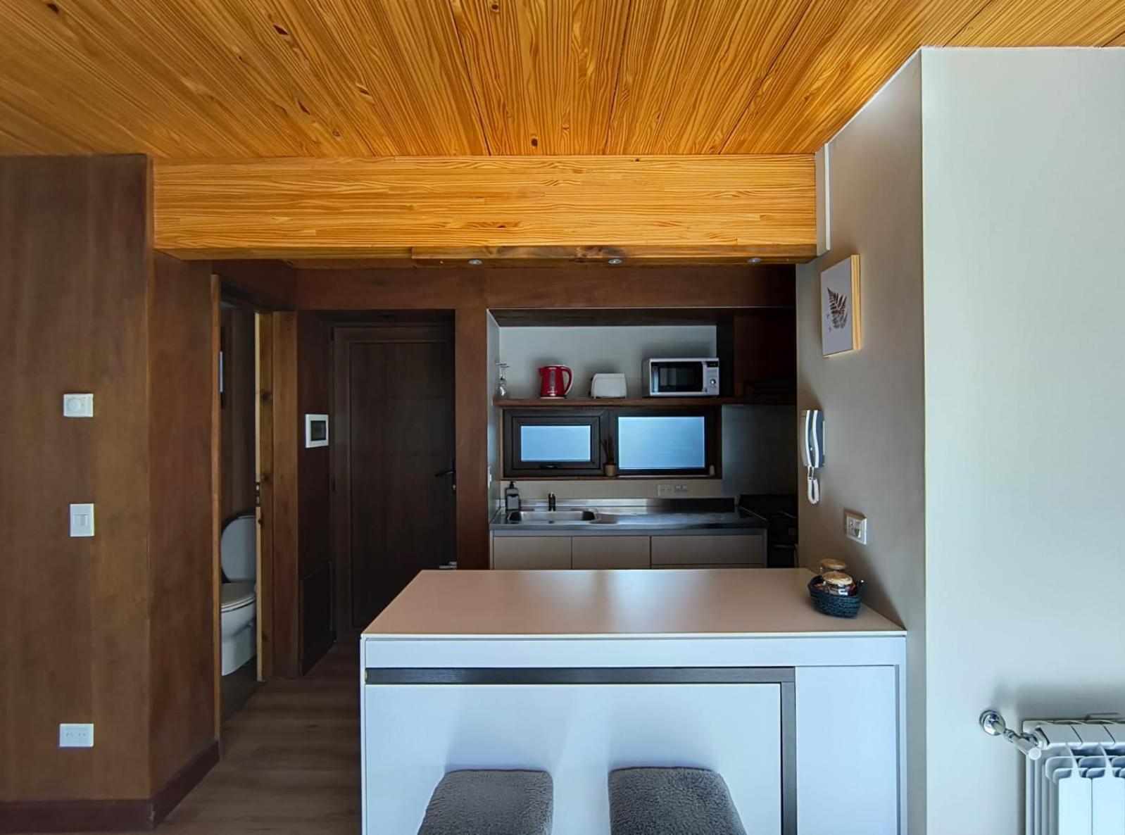 Rahue, Monoambiente Centrico Con Patio Propio Apartment San Martin de los Andes Ngoại thất bức ảnh